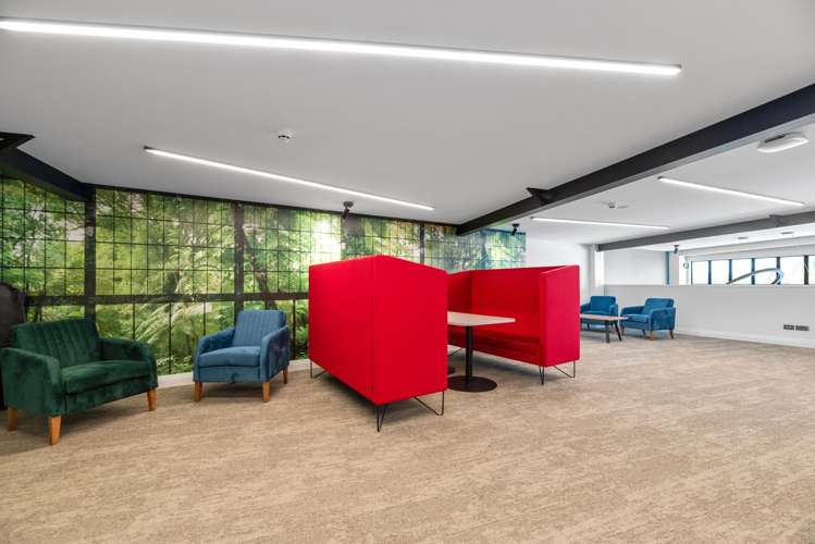 293 Fraser Street Tauranga South_8