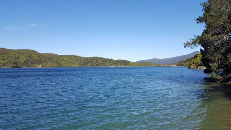 Torea Moua Bay Marlborough_5