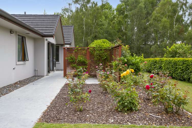 438 Clearwater Lane Rangatira Park_22