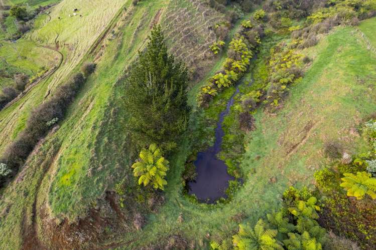 378 Hursthouse Road Tarurutangi_39