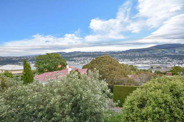 164 Larnach Road Waverley_4