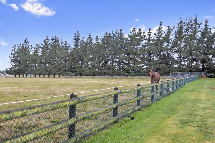 208 Wards Road Swannanoa_13