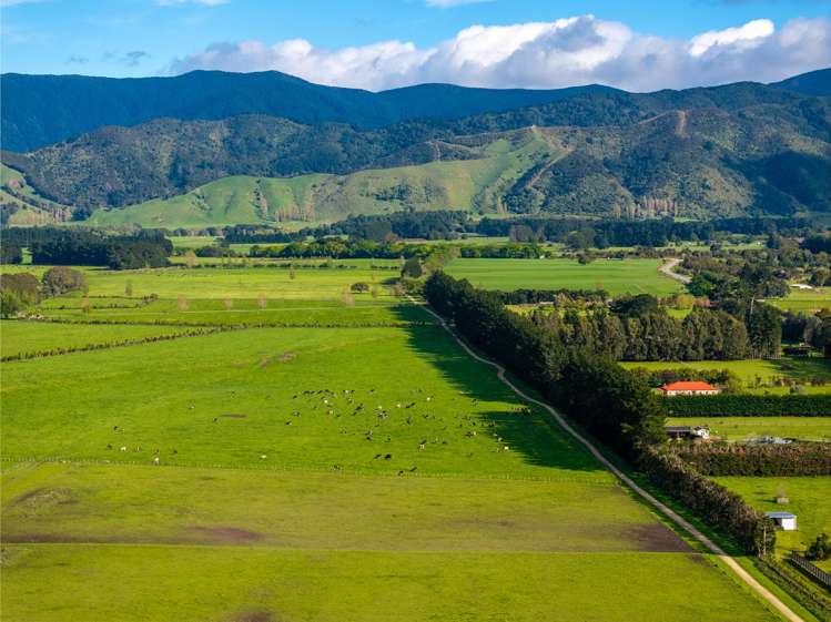 151A Woodside Road Greytown_22