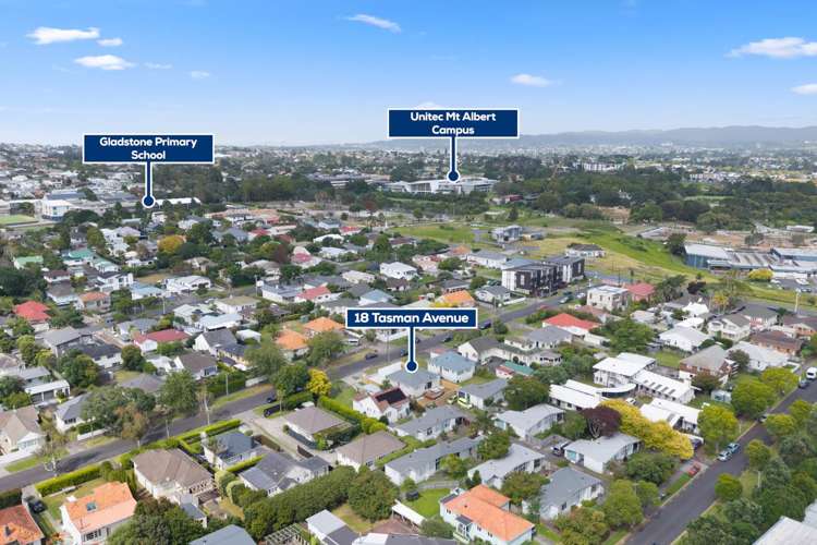 18 Tasman Avenue Mt Albert_22