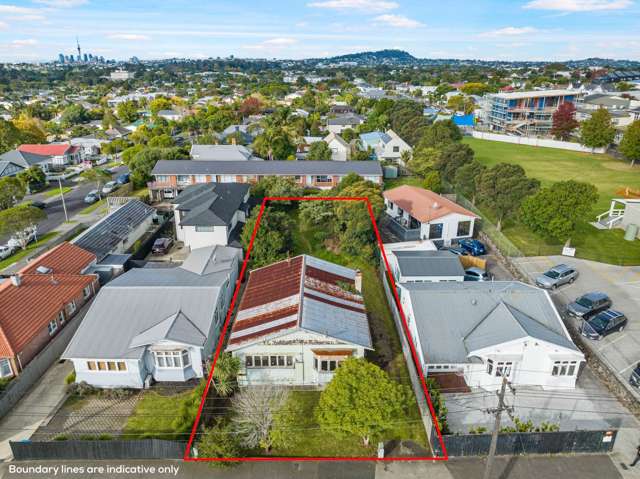 118 Carrington Road Mount Albert_4