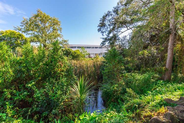 50c Eastdale Road Avondale_12