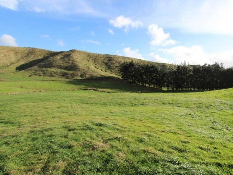 300 Nireaha Hukanui Road Eketahuna_11