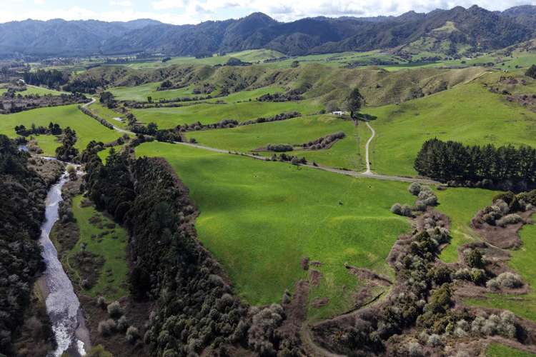 Lot 3/283 Minginui Road Galatea_8
