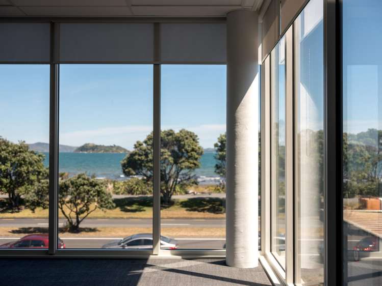 81 The Esplanade Petone_7