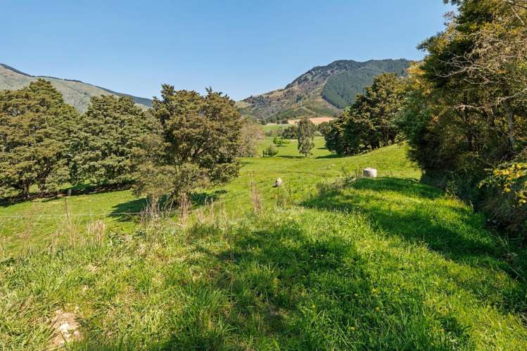 30 Twidles Road Havelock_15
