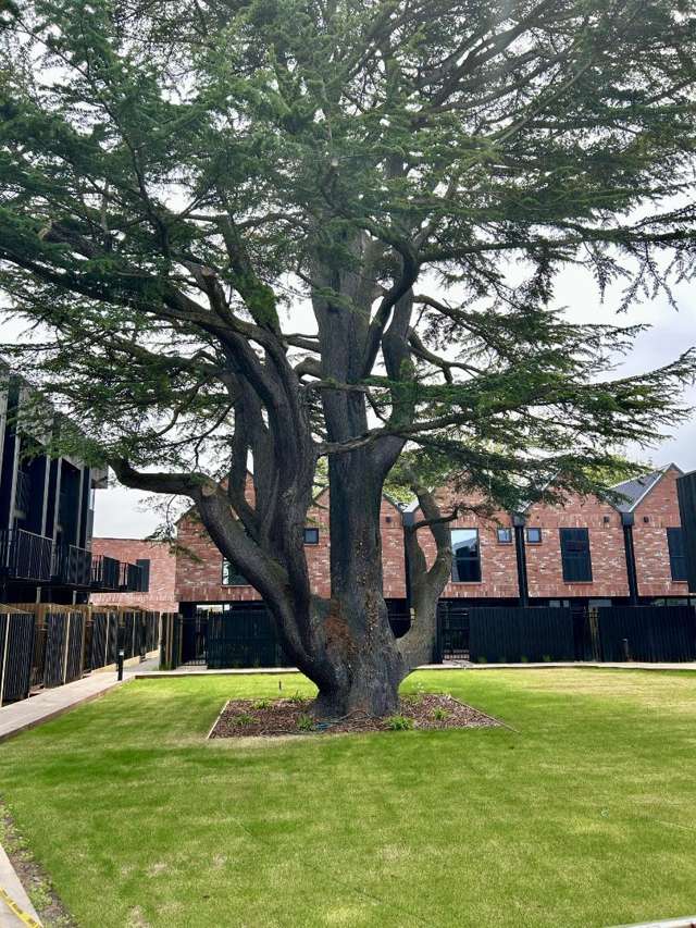 6/892 Colombo Street 1419_1