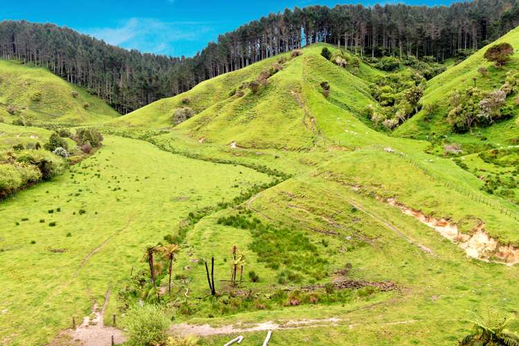 166 Airstrip Road Pikowai_12