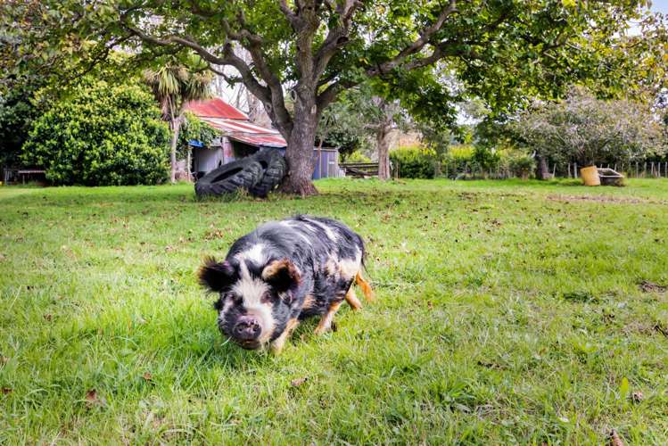 14 Weld Street Normanby_27