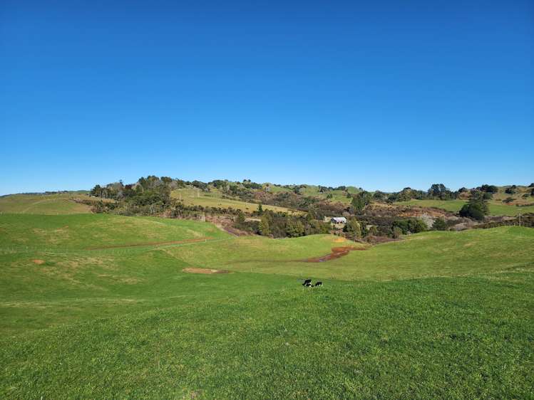 Te Anga Road Waitomo_10