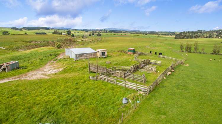 413a Baylys Coast Road Dargaville_18