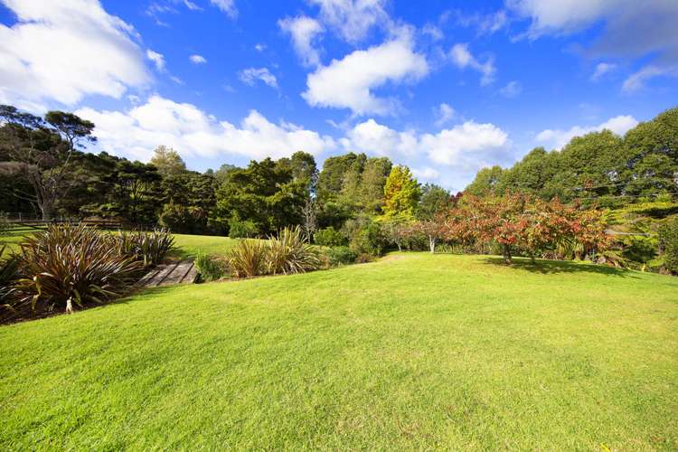 236 Blackbridge Road Dairy Flat_8