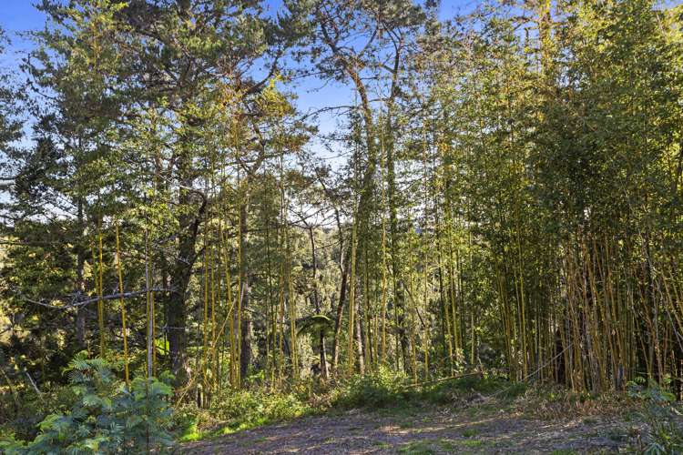 356 Omanawa Road Kaimai_26