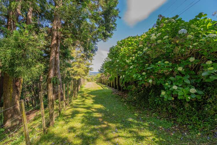 2104 State Highway 25, Tairua-Whitianga Highway Coroglen_43