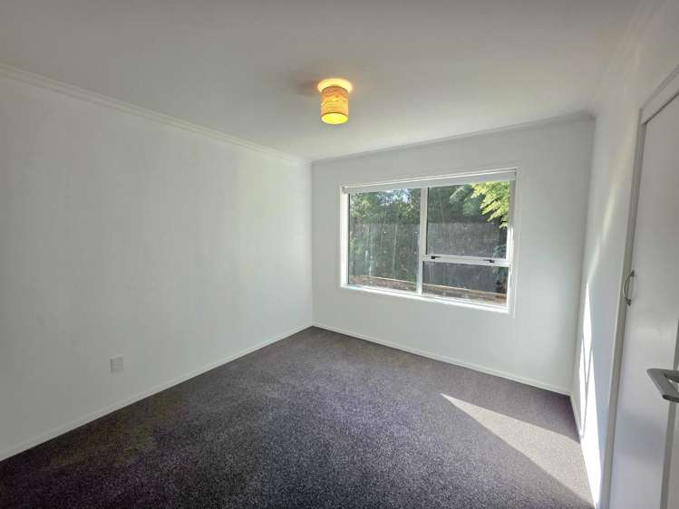 10b Turi Street 10859_9