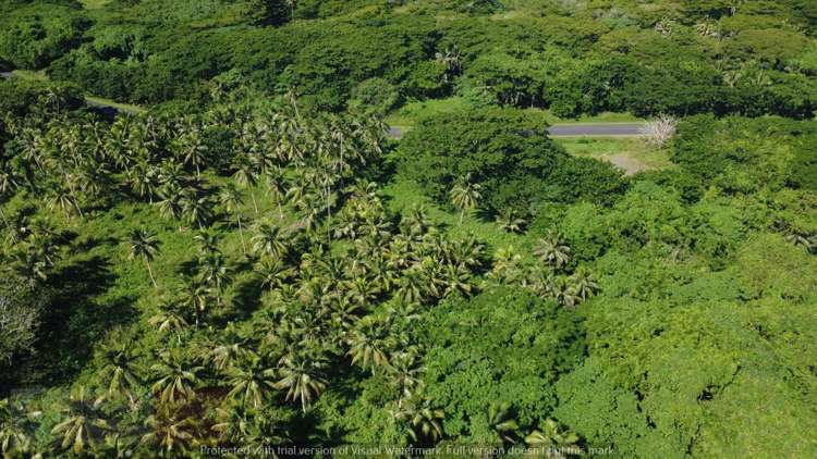 Address withheld Savusavu_17