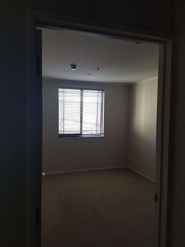 184 Symonds Street Eden Terrace_9