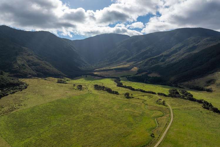 4710 Kenepuru Road Marlborough Sounds_10