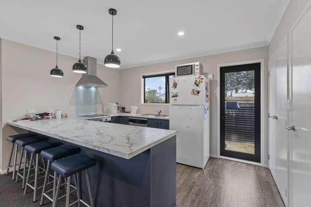 5a Mckenzie Street Levin_1