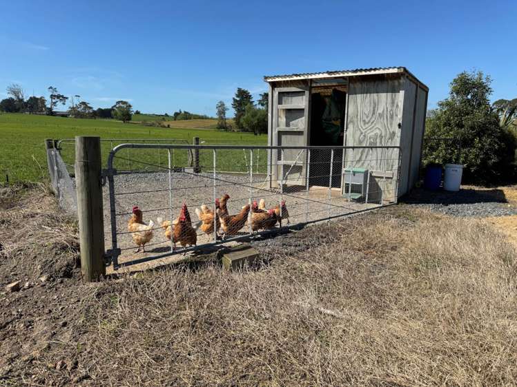 437 Tauhei Road Morrinsville_27