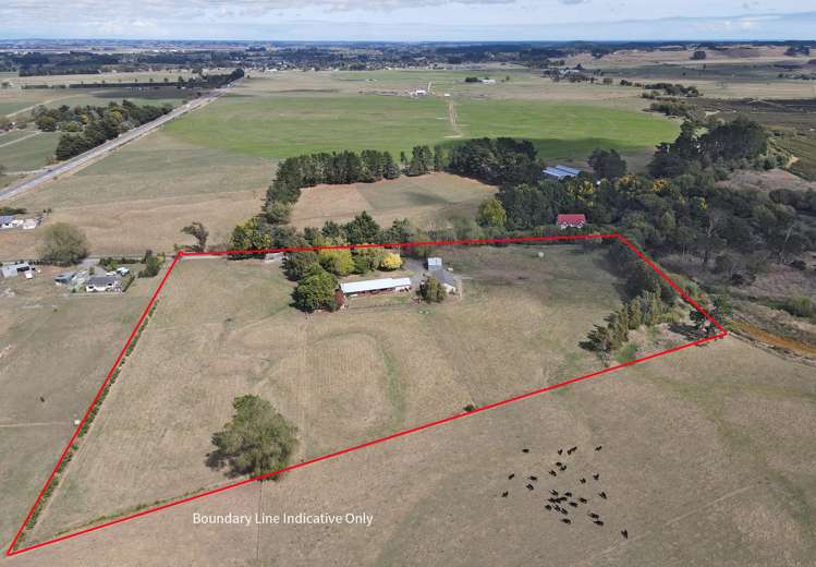 455b State Highway 1 Bulls_32