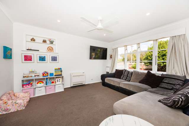 531 Milner Road Glen Oroua_4