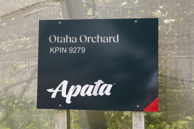 20 Ronalds Lane Te Puke_4