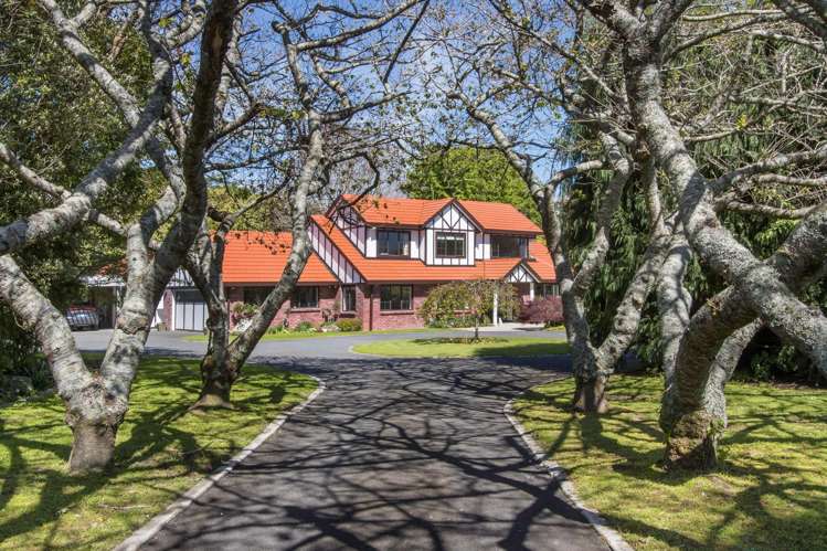 13B Astelia Drive Omokoroa_30