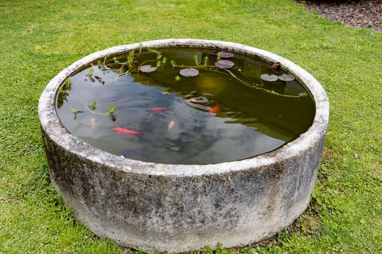 23 Ranfurly Street Solway_15