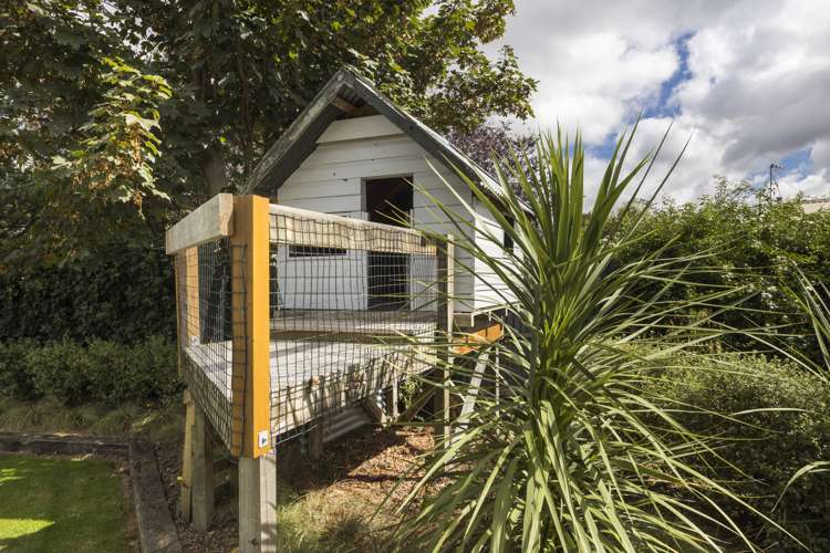 12 Prince Street Feilding_21