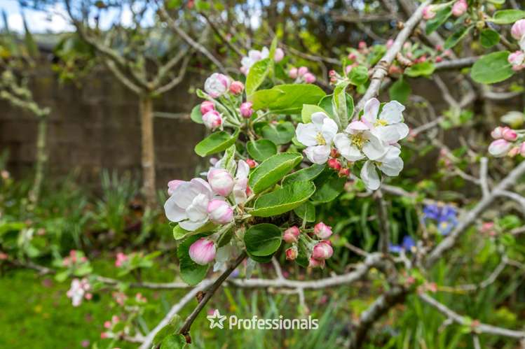 14 Prouse Grove Silverstream_20