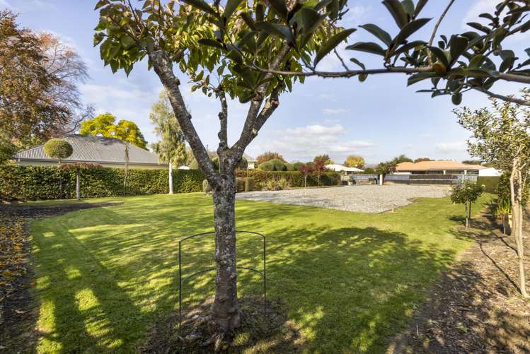 39B Murphys Road Springlands_7