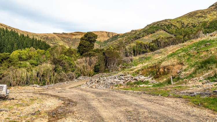 1301 Western Valley Road Port Levy_17