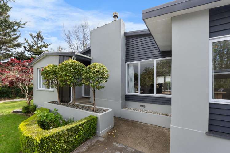 101 Ward Street Waverley_35