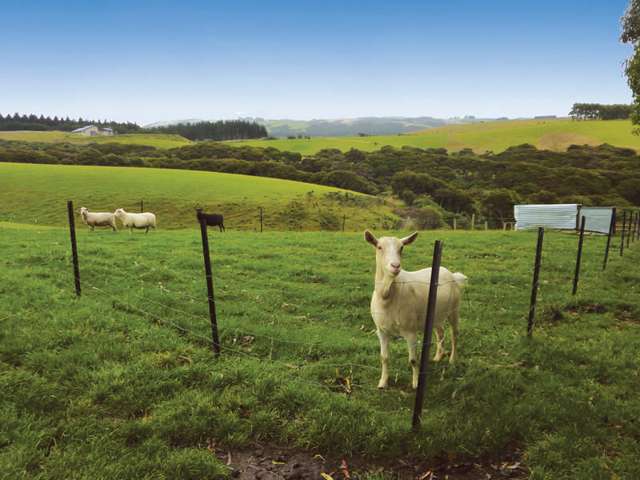 29 Liddells Road Taieri Mouth_1