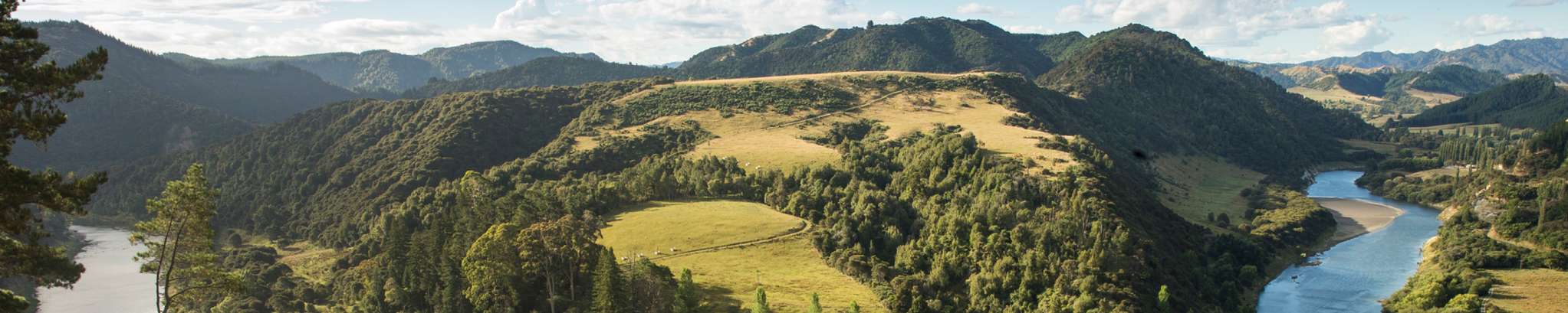 Real Estate House (Manawatu) Ltd (Licensed: REAA 2008) - Ray White, Feilding