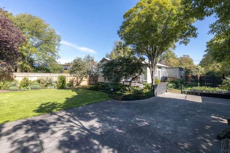 11 Aynsley Terrace Hillsborough_14