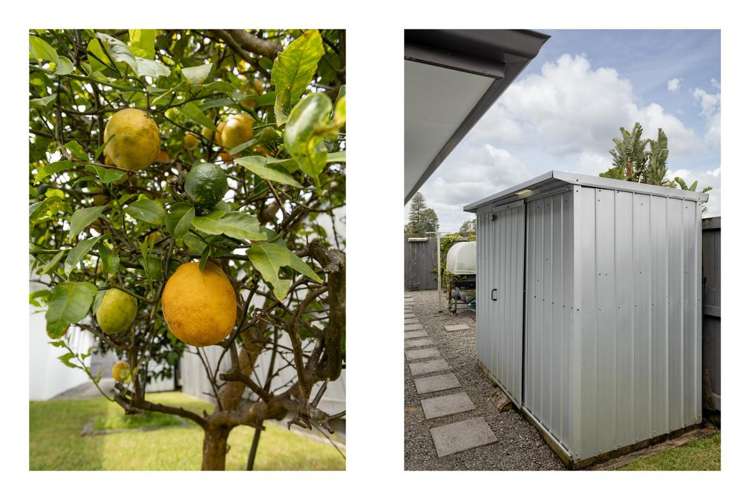 14 Glenmonarch Place Pyes Pa_26