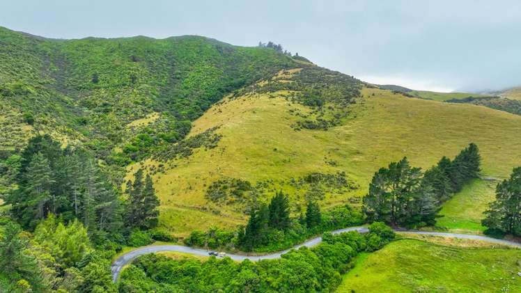 663 Summit Road Pigeon Bay_2