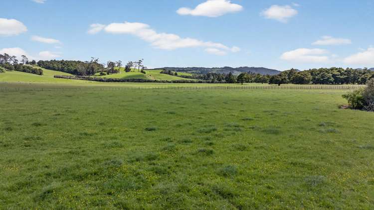 54 Edgerley Road Kaipara Flats_32
