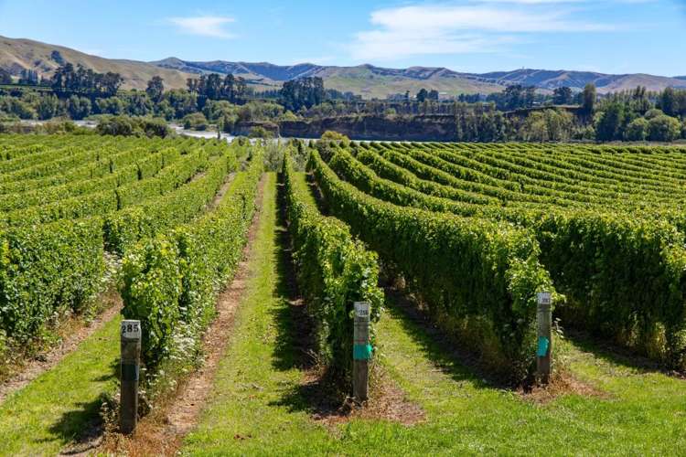 Seaview Road Seddon_11