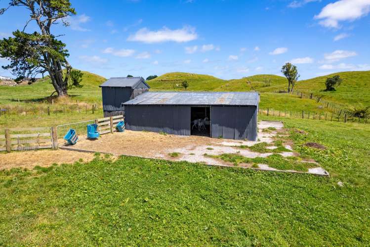 282 Warea Road Warea_6