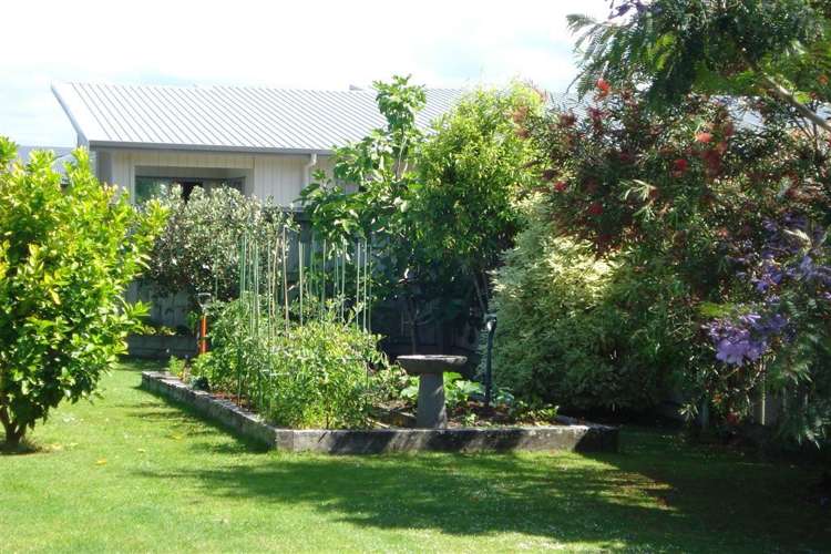 29 Captain Wood Avenue Whitianga_25