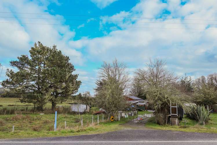 854 Nelson Creek Road Hochstetter_22