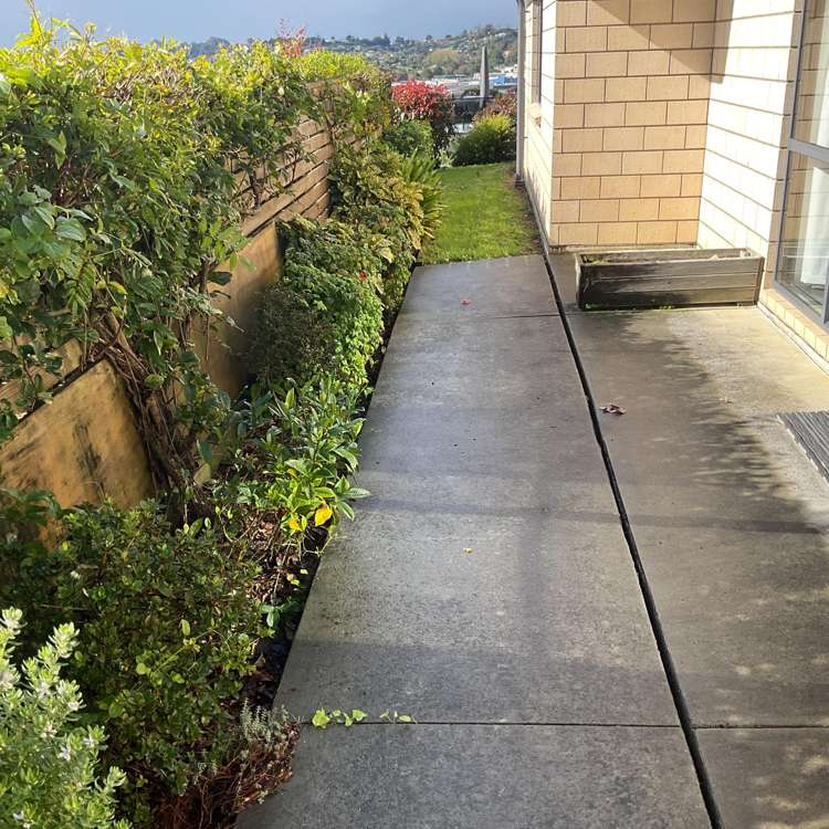 24 Oliver Street Warkworth_14