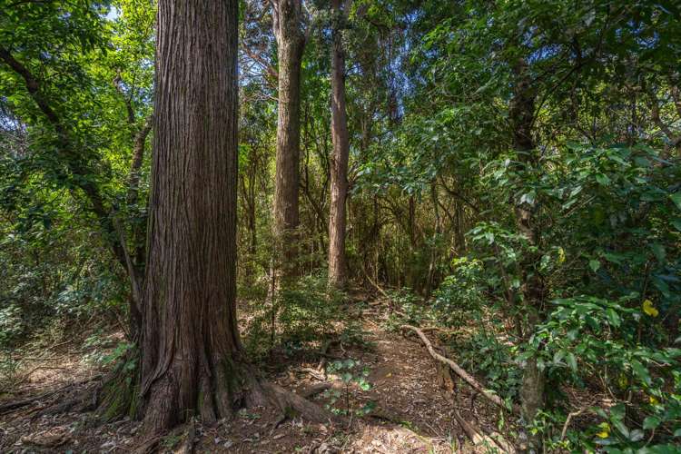 342 Le Bons Bay Road Le Bons Bay_41